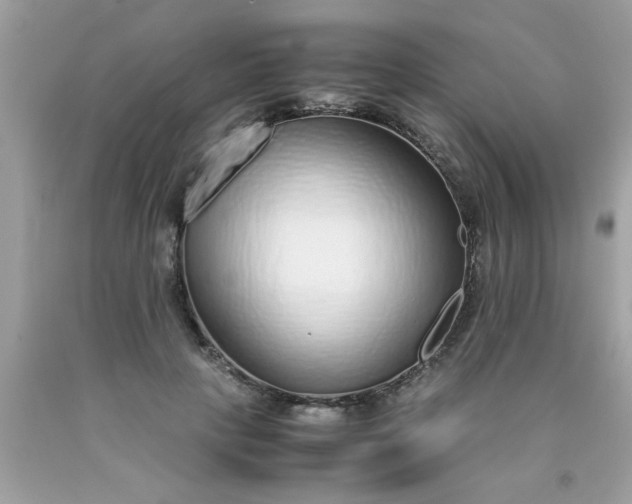 X0000090470649200707272259