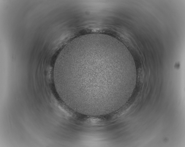 X0000090470650200707272259