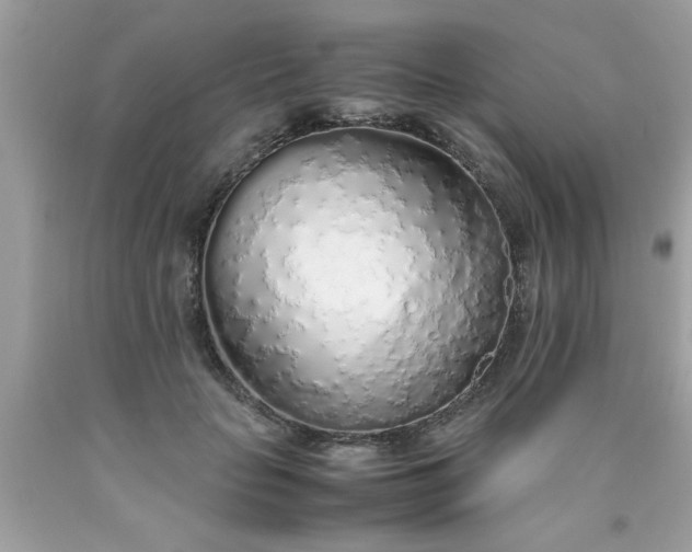 X0000090470653200707272259