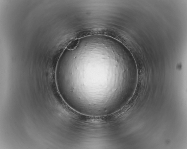 X0000090470654200707272259