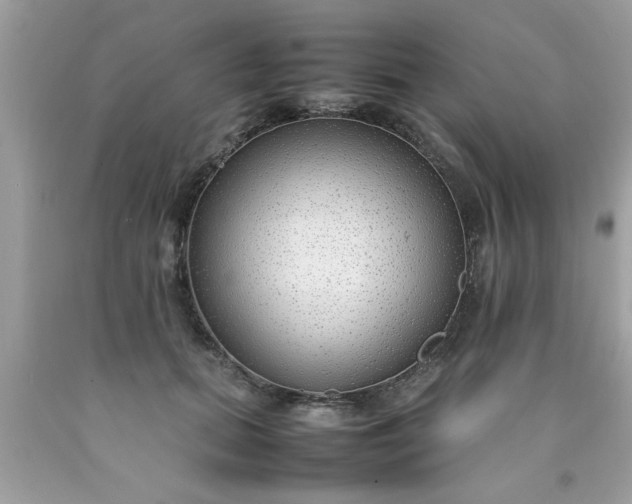 X0000090470655200707272259