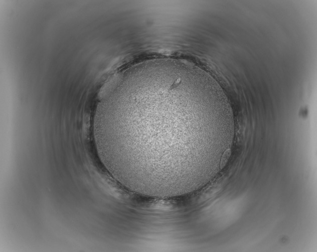 X0000090470656200707272259