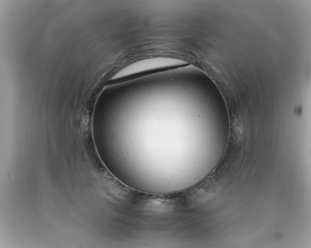 X0000090470657200707272259