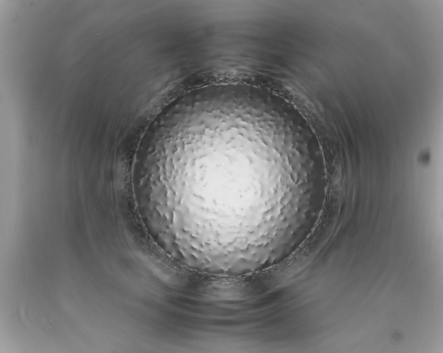 X0000090470659200707272259