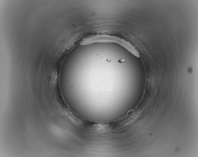 X0000090470660200707272259