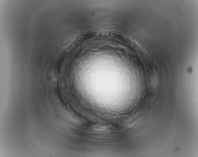 X0000090470661200707272259