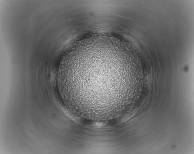 X0000090470662200707272259