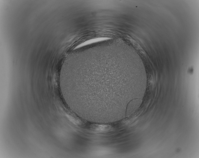 X0000090470663200707272259