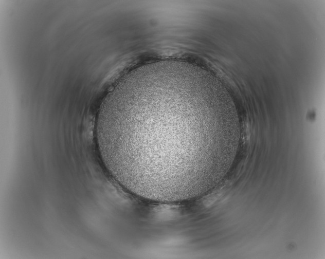 X0000090470664200707272259