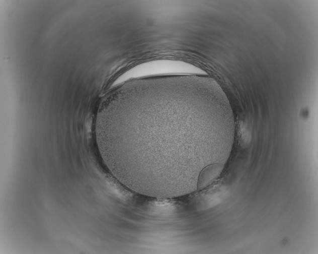 X0000090470668200707272259