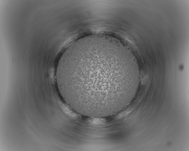 X0000090470670200707272259