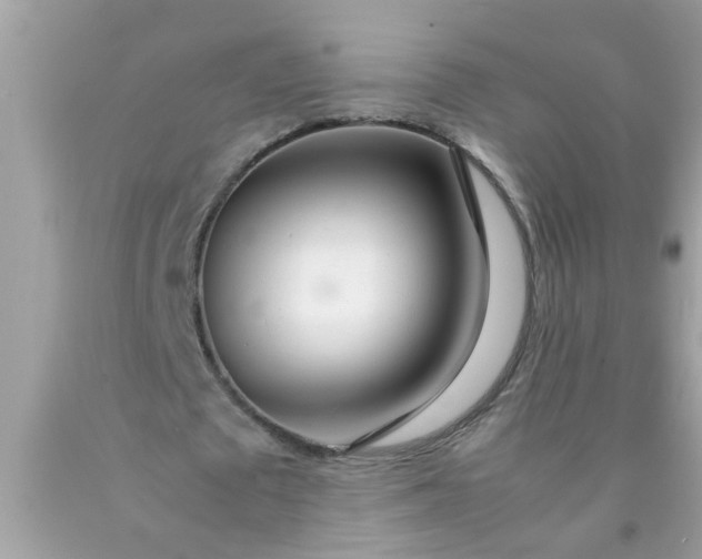 X0000090470673200707272259