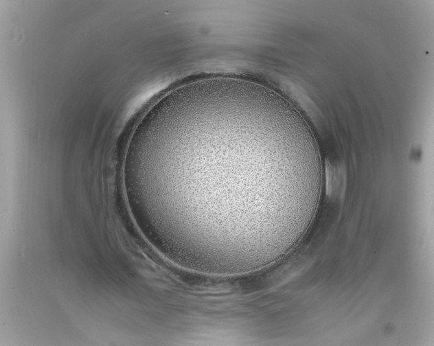 X0000090470675200707272259