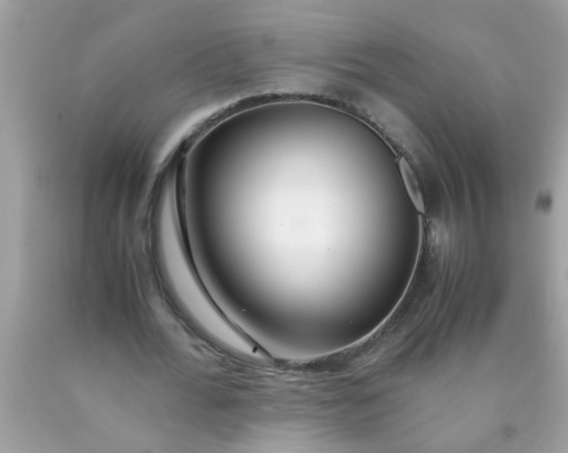 X0000090470676200707272259