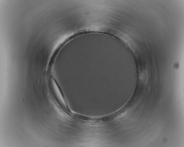 X0000090470678200707272259