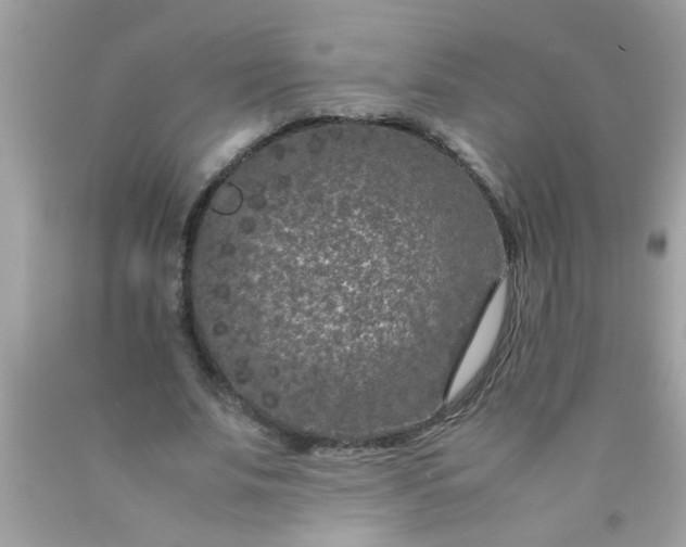 X0000090470679200707272259