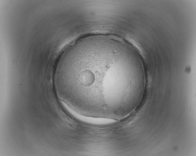 X0000090470681200707272259