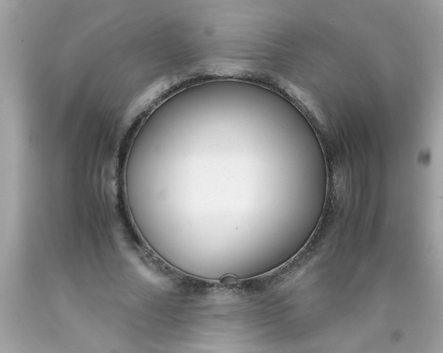 X0000090470682200707272259