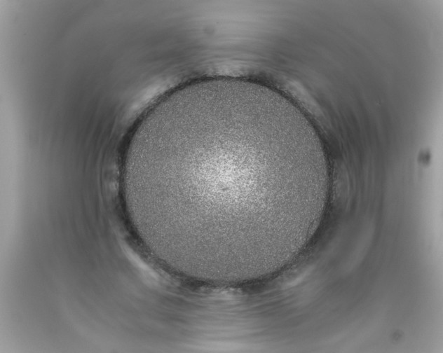 X0000090470683200707272259