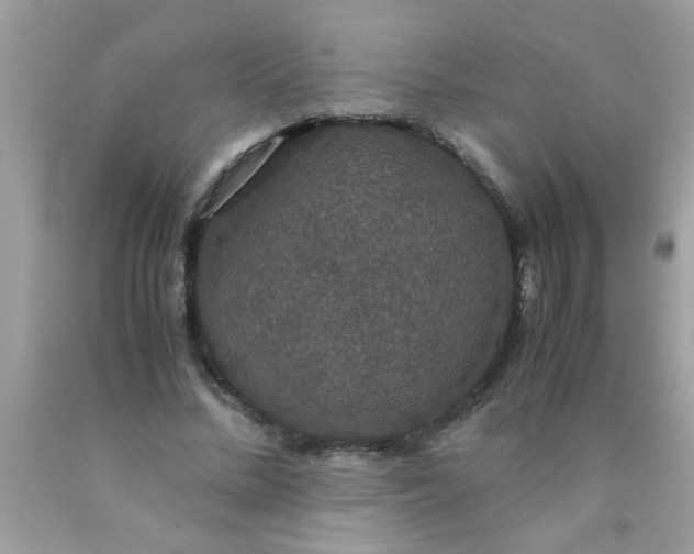 X0000090470684200707272259