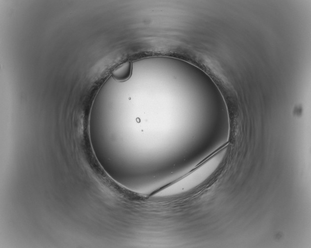 X0000090470685200707272259