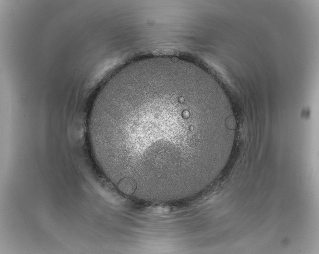 X0000090470687200707272259