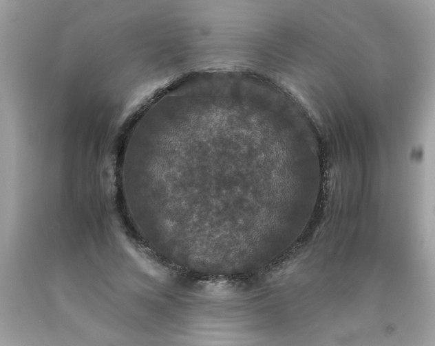 X0000090470688200707272259