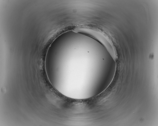 X0000090470689200707272259