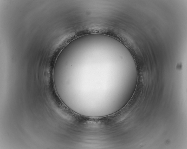 X0000090470690200707272259