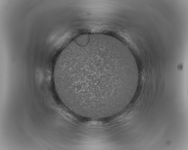 X0000090470691200707272259