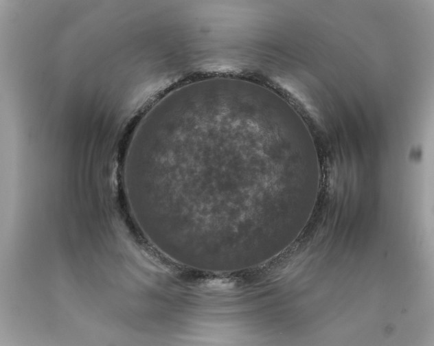 X0000090470692200707272259