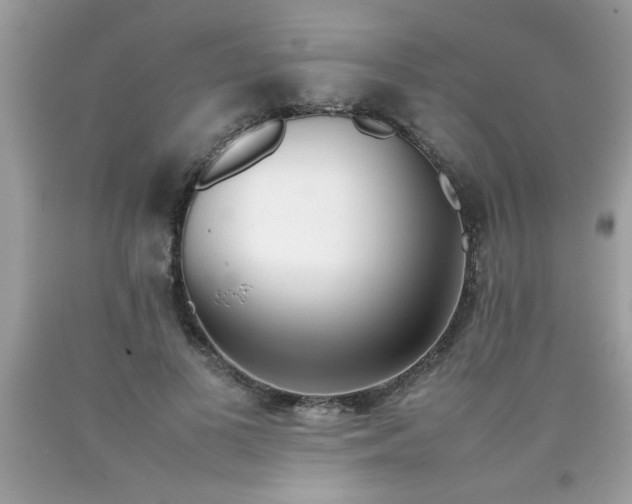 X0000090470693200707272259