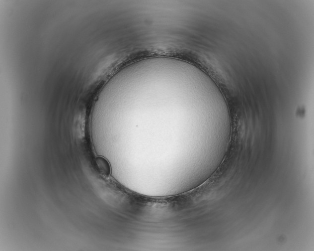 X0000090470694200707272259