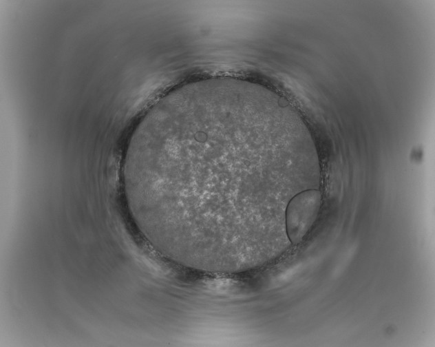 X0000090470695200707272259