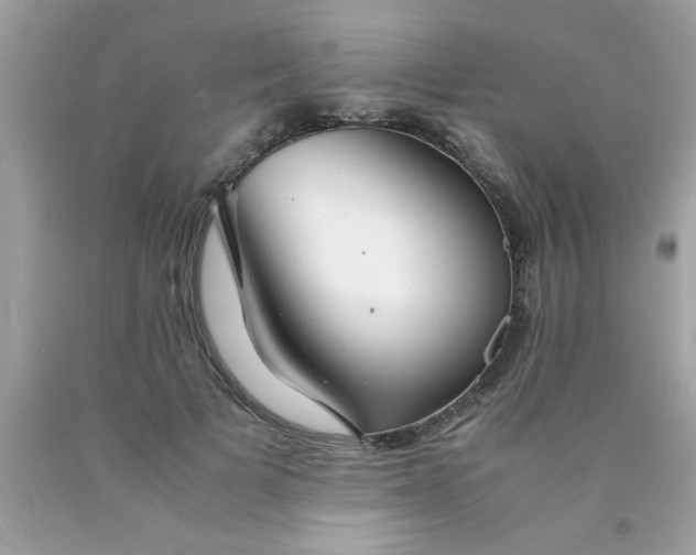 X0000090470697200707272259