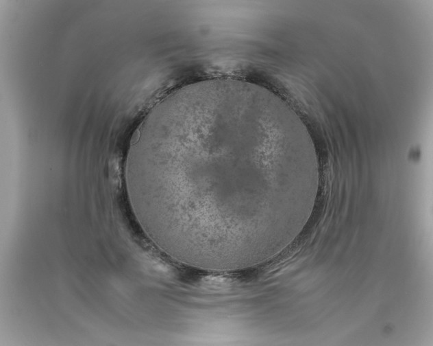 X0000090470699200707272259