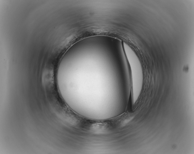 X0000090470700200707272258