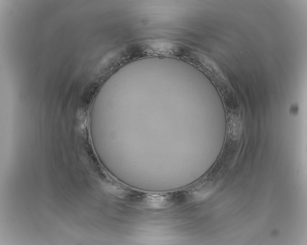 X0000090470701200707272258