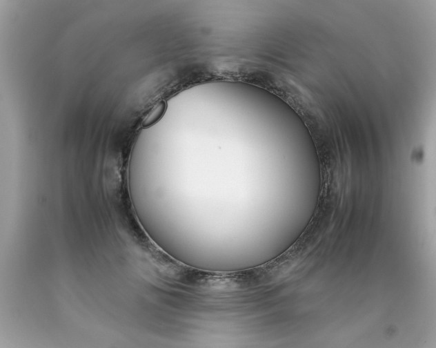 X0000090470702200707272258