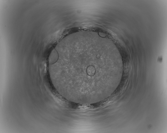 X0000090470703200707272258