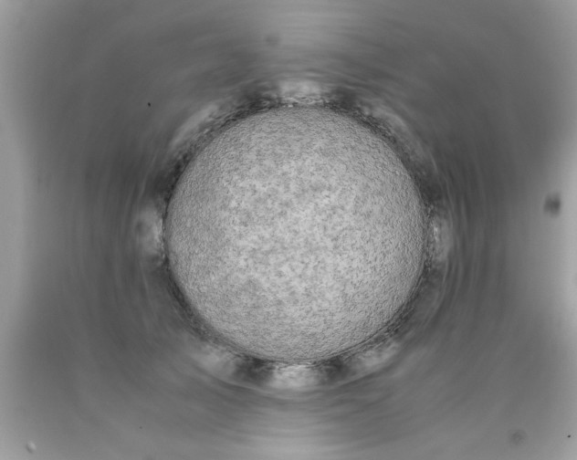 X0000090470705200707272258