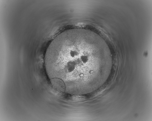 X0000090470707200707272258