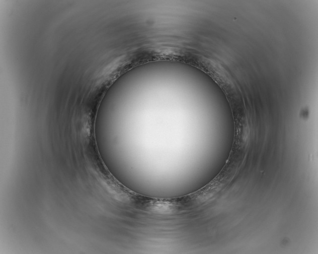 X0000090470710200707272258