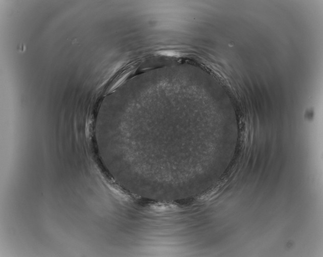 X0000090470712200707272258