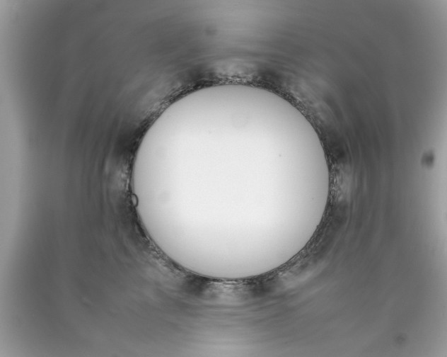 X0000090470713200707272258