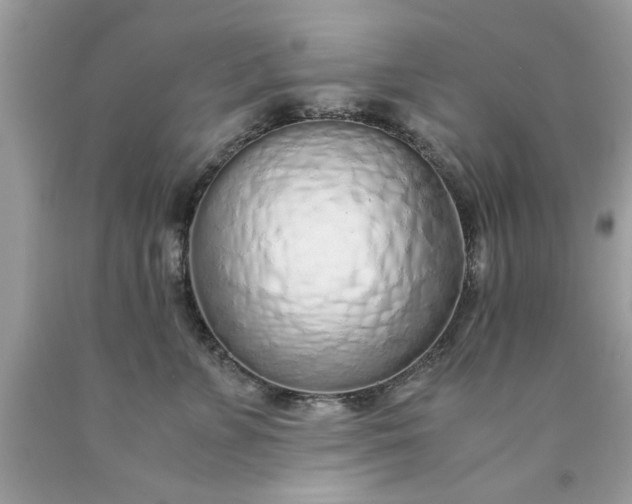 X0000090470715200707272258