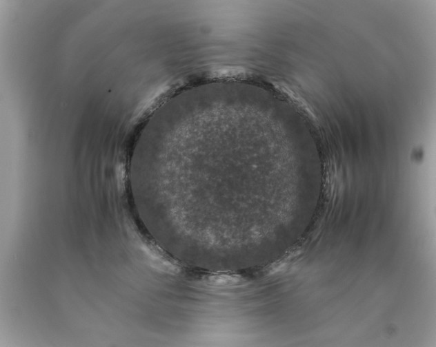 X0000090470716200707272258