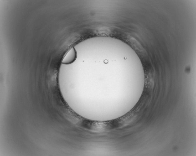 X0000090470717200707272258