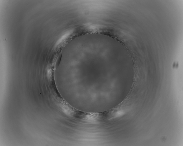 X0000090470720200707272258