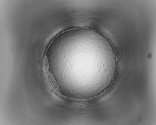 X0000090470721200707272257